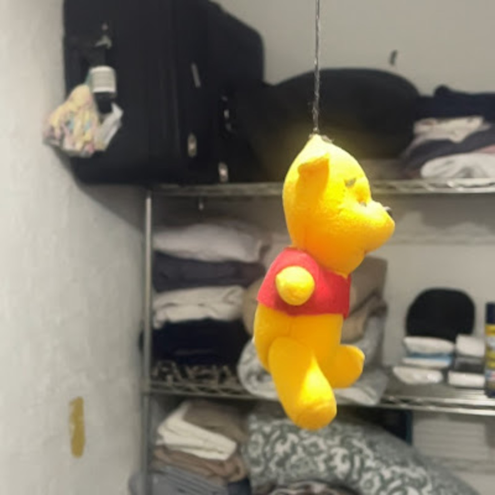 Meet your Posher, Ayllie